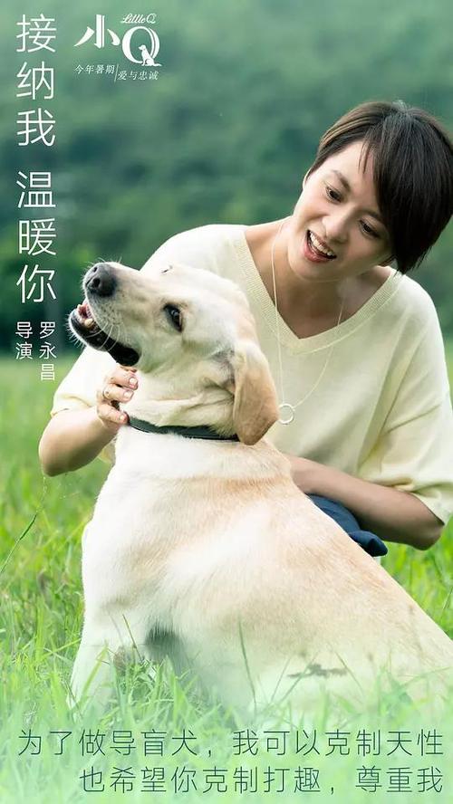 梅西纳大学DiplomainElectronicEngineering